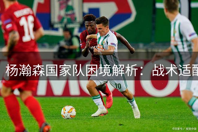 杨瀚森国家队困境解析：战术适配与后卫线差距成关键因素