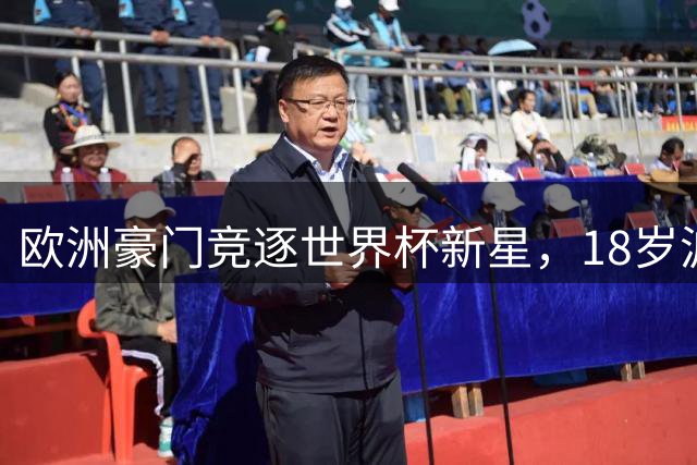 欧洲豪门竞逐世界杯新星，18岁波黑新锐成转会市场焦点