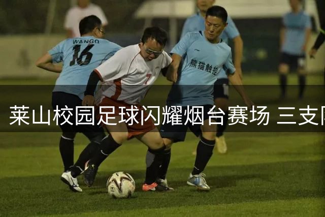莱山校园足球闪耀烟台赛场 三支队伍问鼎"市长杯"冠军